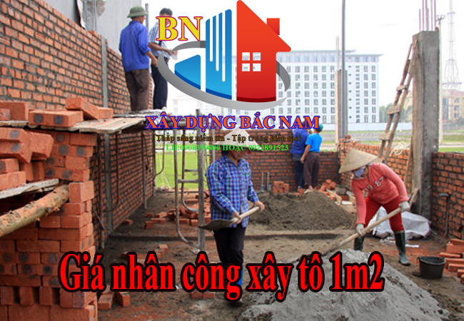 Giá Nhân Công Xây Tô 1m2 Tường Trong Năm 2025 